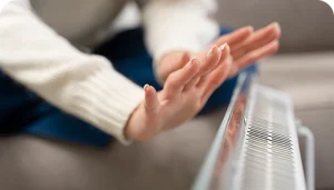 Lorem Ipsum Dolor Sit Amet Consectur Adenscing Ut